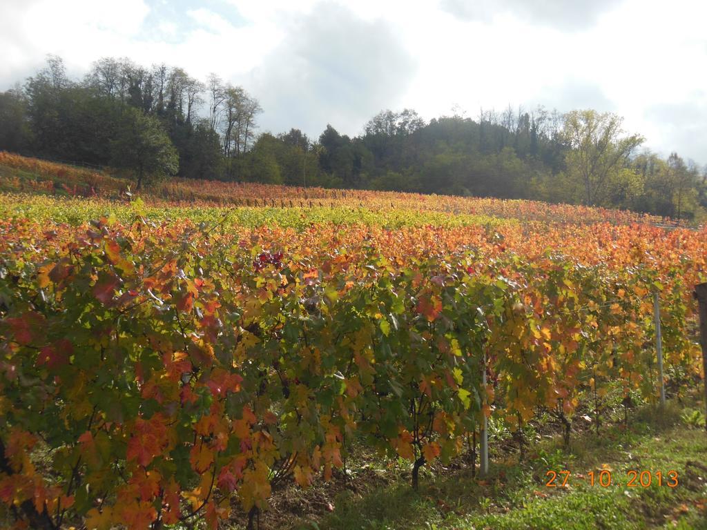 Agriturismo Cascina Tollu San Giacomo  Kültér fotó