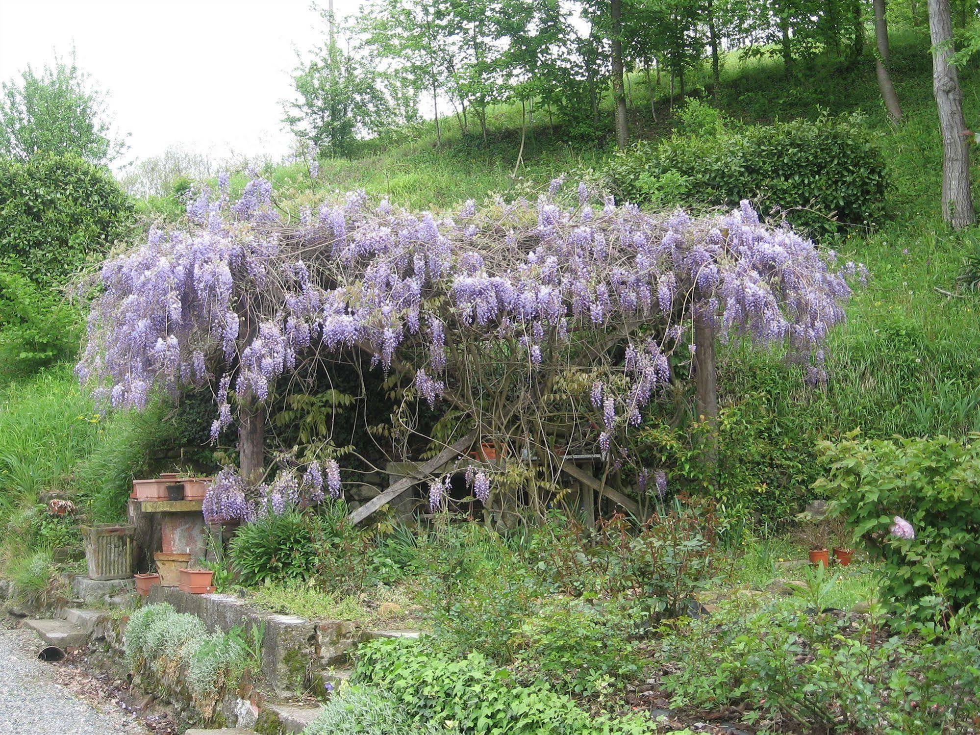 Agriturismo Cascina Tollu San Giacomo  Kültér fotó